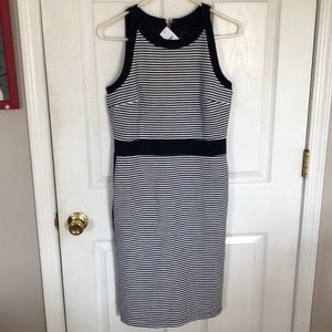 NWT Ann Taylor Navy & white dress. Size 4